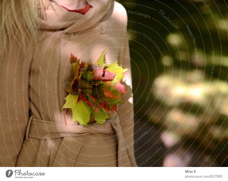 Blattrosen Mensch feminin Frau Erwachsene 18-30 Jahre Jugendliche Herbst Mantel Accessoire Schmuck blond mehrfarbig Romantik Herbstfärbung Herbstlaub Anstecker