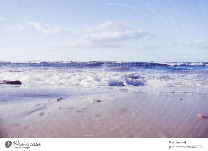 Meer Landschaft Sand Wasser Küste Strand Gesundheit Monastir Tunesien Mittelmeer Wellen Gischt Farbfoto mehrfarbig Außenaufnahme Textfreiraum oben