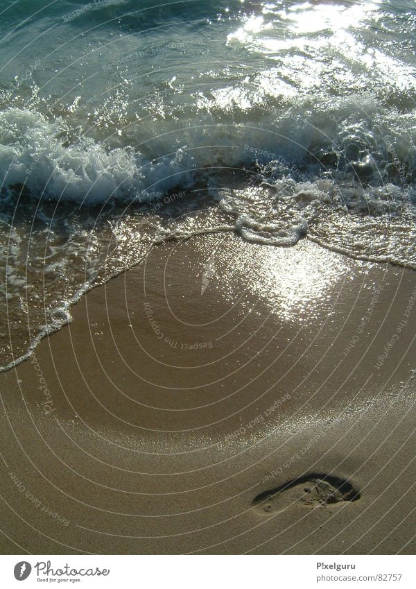 Die perfekte Welle Strand Meer Einsamkeit Wellen Sommer Fuß Wasser Sonne Sand