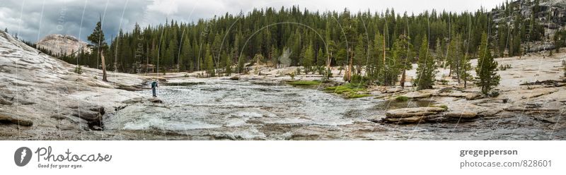 Fliegenfischen in der Wildnis der Yosemiten. Abenteuer wandern Mann Erwachsene 1 Mensch 30-45 Jahre Fluss entdecken Herausforderung wagemutig Erkundung Fischer