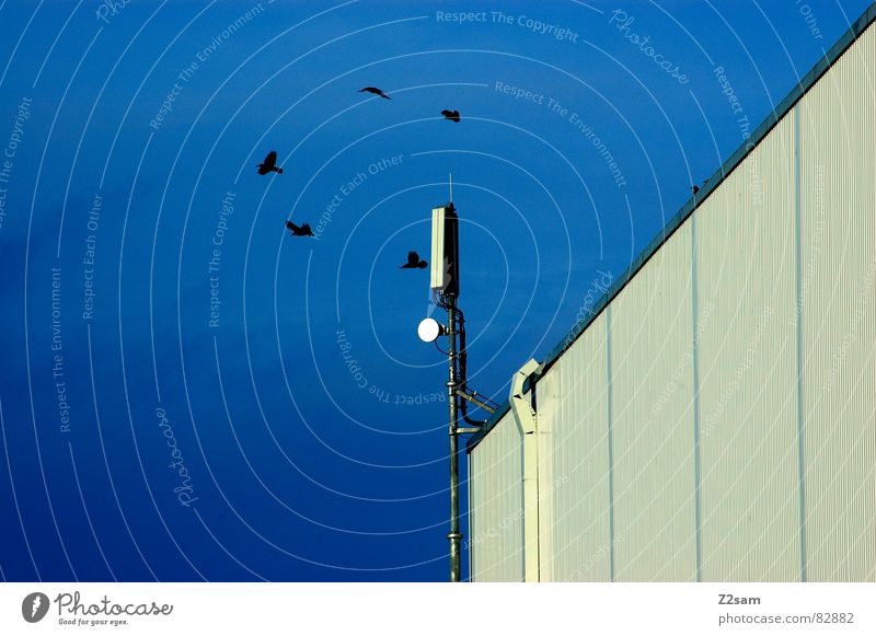 warten auf landeerlaubnis Landeerlaubnis Vogel kreisen 5 schwarz Gebäude Haus Himmel Antenne Funktechnik senden Licht graphisch rund Geometrie fliegen