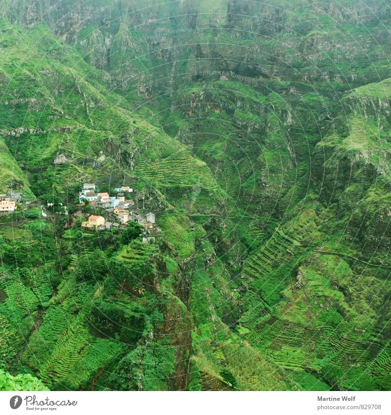 grün in grün in grün in grün Landschaft Santo Antão Cabo Verde Afrika Dorf Einsamkeit Natur Stadt Farbfoto Außenaufnahme Menschenleer Tag Panorama (Aussicht)