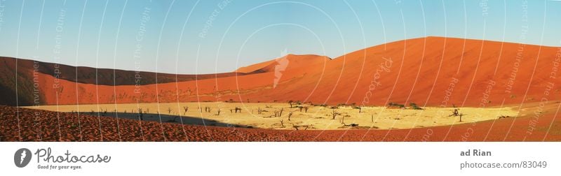 deadvlei Ferne Sand Wärme Wüste rot Namibia Afrika Ödland beige mehrfarbig Morgen Morgendämmerung Sonnenaufgang Sonnenuntergang heiß rotbraun gelb Blauer Himmel