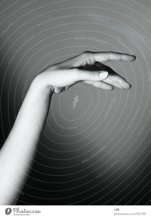 Geste II | Handhaltung signalisieren geben Aktion Unterarm Finger Daumen Zeigefinger Nagel Fingernagel deuten nehmen gestikulieren dunkel Licht Schwarzweißfoto