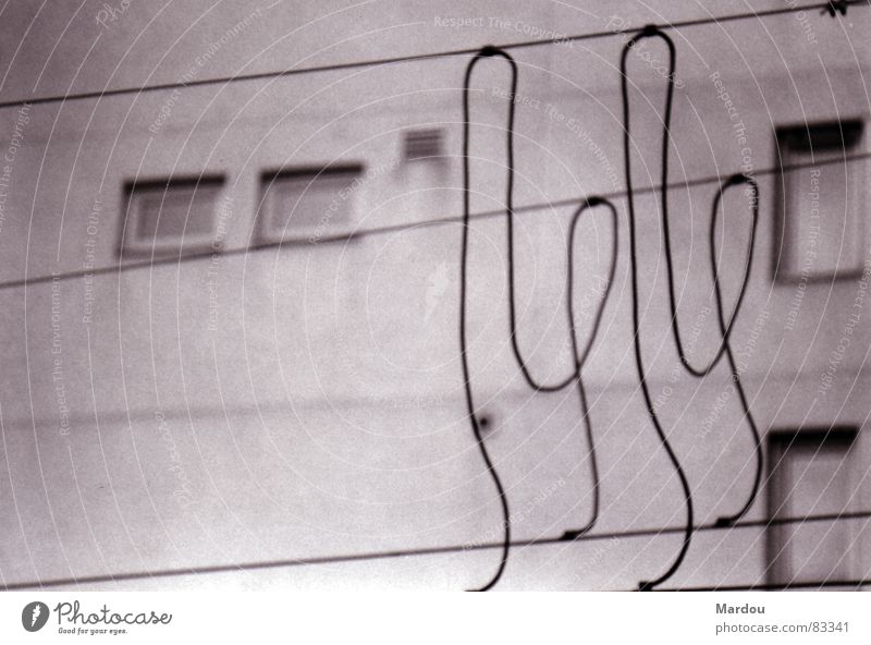 Wire Code Überleitung Leitung Draht Muster abstrakt Fenster Oberleitung Detailaufnahme Schwarzweißfoto Elektrisches Gerät Technik & Technologie Kabel