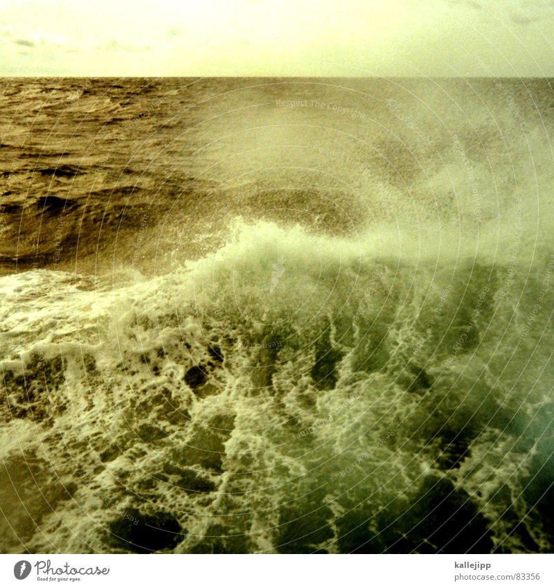 seekrank Wellenkamm See Meer Buhne Atlantik Dampfschiff Wasseroberfläche Schifffahrt Wasserstand seekrankheit sich übergeben Ostsee Nordsee Mittelmeer Überfahrt