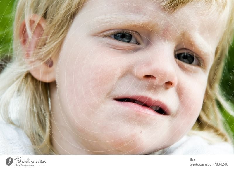 Skepsis Gesicht Kind Mensch feminin Kleinkind Mädchen 1 1-3 Jahre beobachten Denken Blick lernen Sorge Schüchternheit skeptisch Auge Jugendliche Farbfoto