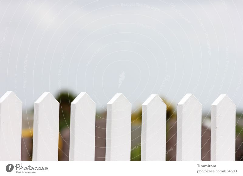 Hell. Umwelt Himmel Wolken Dänemark Menschenleer Zaun Holz ästhetisch schön natürlich Sauberkeit weiß Gefühle Farbfoto Außenaufnahme Textfreiraum oben Tag