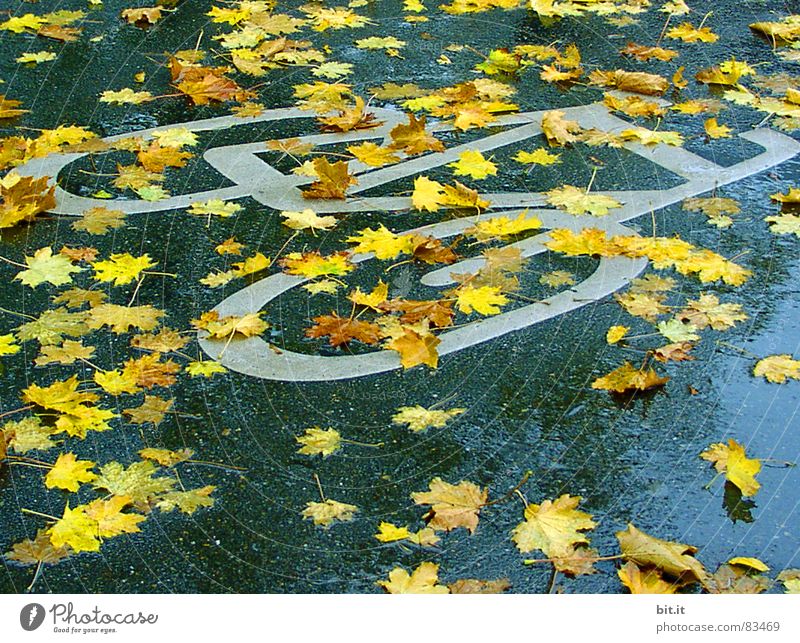 BOULEVARDBLATT Fahrrad Herbst Klima schlechtes Wetter Regen Verkehrswege Straße Wege & Pfade Zeichen Schilder & Markierungen Hinweisschild Warnschild