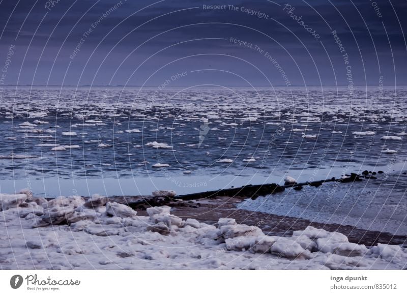 Eisschollen Umwelt Natur Landschaft Urelemente Wasser Winter Klima Klimawandel schlechtes Wetter Frost Schnee Küste Meer Insel Nordsee Föhr