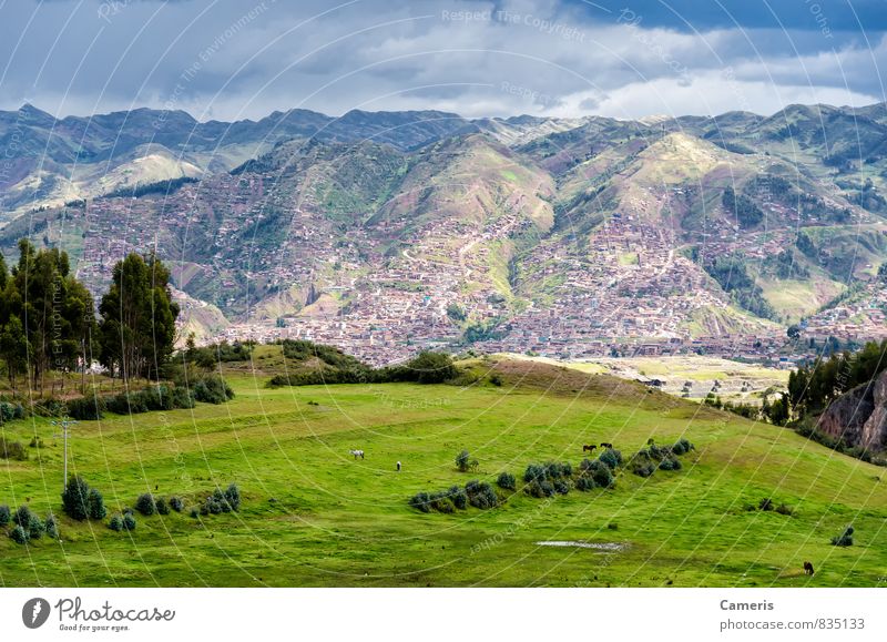 Die Anden in Peru Umwelt Natur Landschaft Hügel Berge u. Gebirge Ferien & Urlaub & Reisen wandern authentisch exotisch Ferne gigantisch natürlich oben wild grün