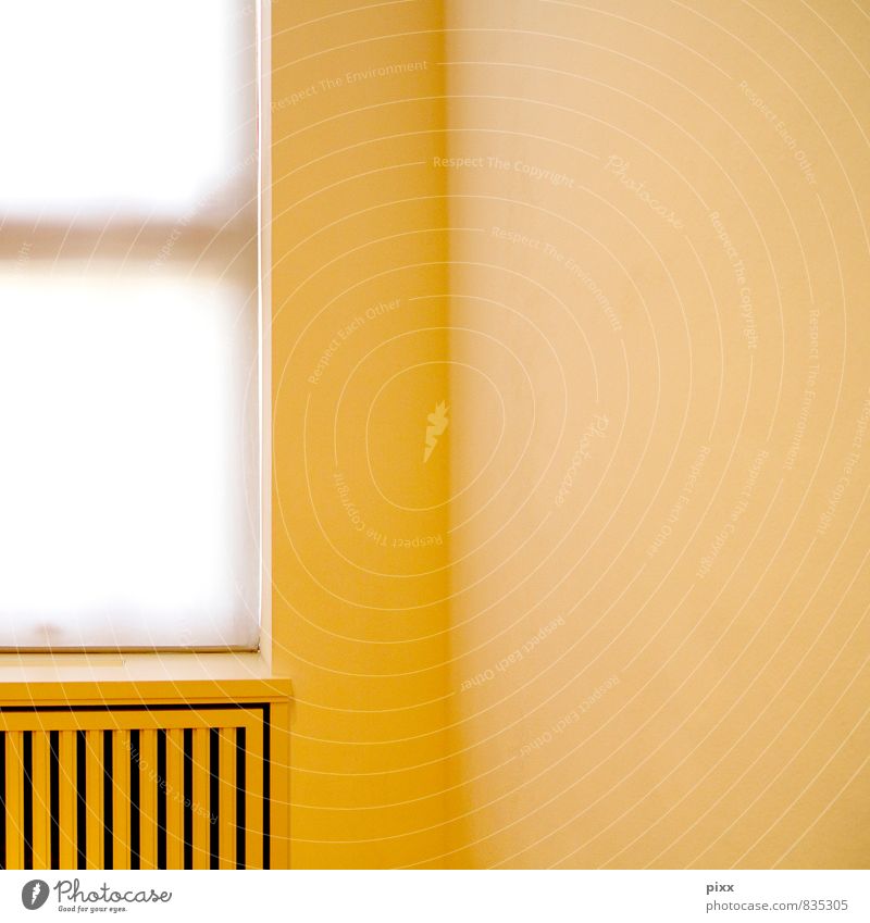 berlin von innen Museum Menschenleer Architektur Mauer Wand Stein Holz beobachten hängen hell nah schön weich gelb weiß Wachsamkeit ruhig Erschöpfung Scham