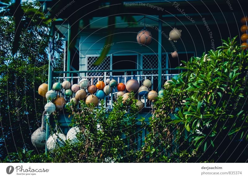 Verschiedene bunte Bojen,Groß und klein gesammelt auf einer Haus Terrasse mit grünen Büschen, auf Thursday Island. Queensland / Australia, Bojen Sammler Freude