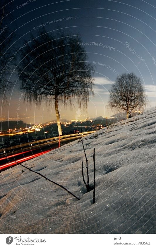 Im Mondschein Rücklicht Vollmond Langzeitbelichtung Nacht dunkel mystisch Schweiz Weitwinkel Baum Geäst Leitplanke Winterstimmung Gras kalt Berghang Klarheit