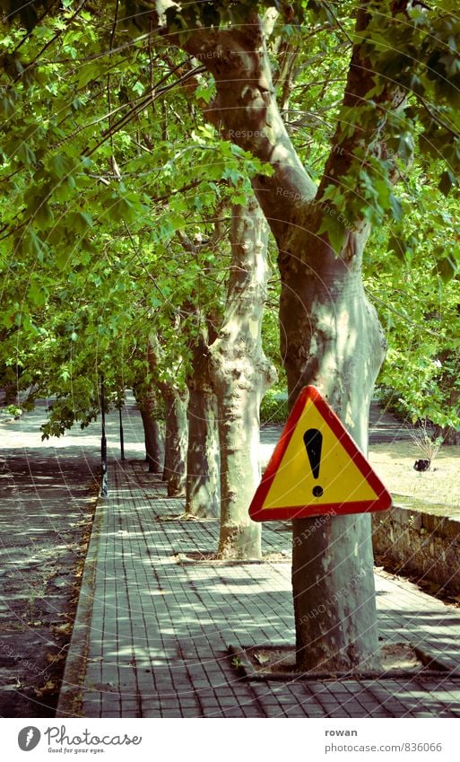 ! Umwelt Natur Landschaft Baum Blatt Autofahren Fahrradfahren Fußgänger Verkehrszeichen Verkehrsschild grün Allee Warnung Warnhinweis Straße