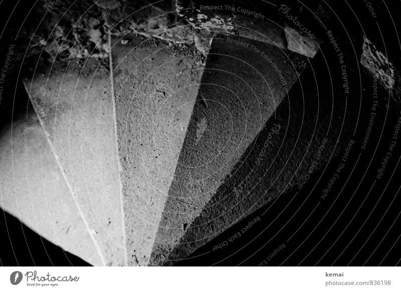 Downlight Mauer Wand Treppe Steinstufen Treppenhaus Beton dunkel hell Linie Fächerförmig Schatten Schwarzweißfoto Innenaufnahme Menschenleer Tag Licht Kontrast
