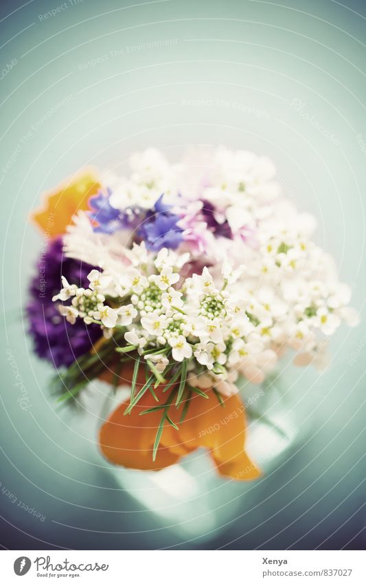 Für Mama Pflanze Blume retro blau gelb weiß Liebe Romantik Blumenstrauß Blüte Vase Muttertag Geschenk Menschenleer Tag Schwache Tiefenschärfe