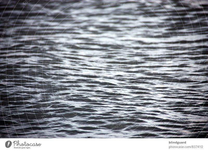 Die Flut Erholung Wassersport Umwelt Natur Urelemente Nordsee Schifffahrt Schwimmen & Baden blau schwarz weiß Zufriedenheit fließen Wellen Farbfoto