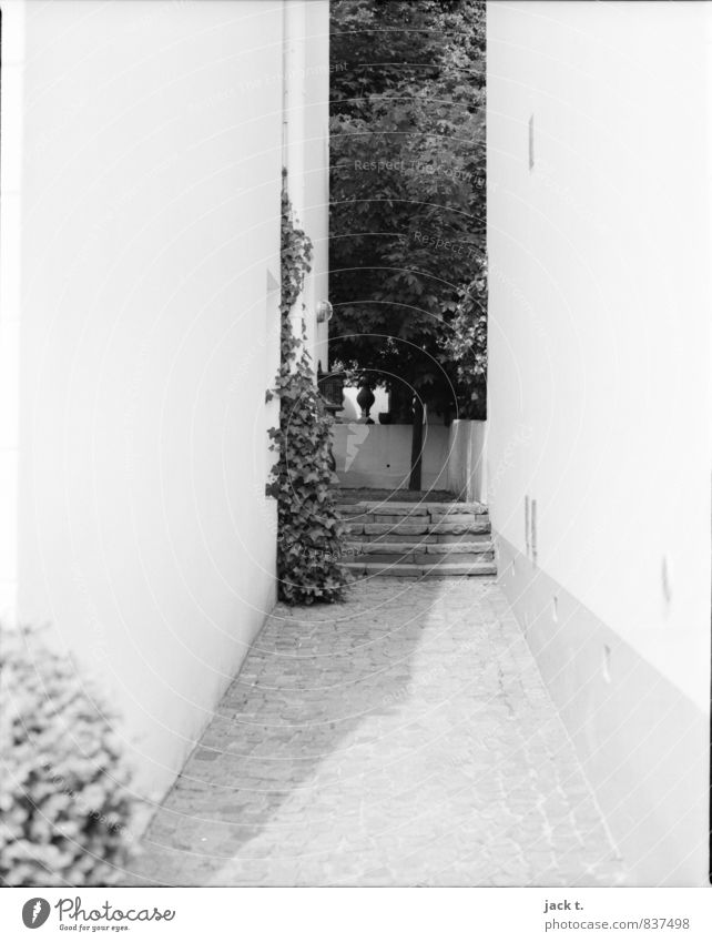 Schattiges Plätzchen Hafenstadt bevölkert Haus Mauer Wand Treppe Stein Stimmung Flur Schwarzweißfoto Außenaufnahme Tag Sonnenlicht