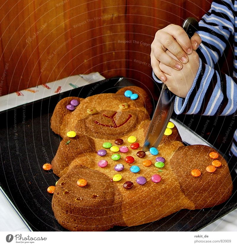 So starb Bär Bruno wirklich Teddybär Schokolinsen Kuchen Hand geschnitten töten Geburtstagstorte Blech Ernährung stechen Finger Kind Kinderhand Backwaren Messer