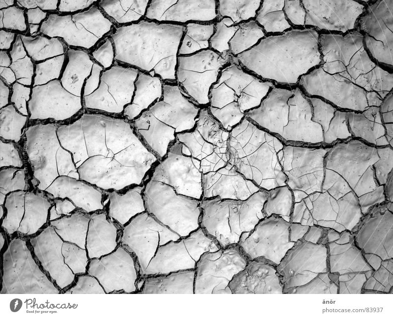 trockene erde Muster heiß grau Dürre Wüste Schwarzweißfoto Erde Riss Bodenbelag dünn nicht feucht sehr warm