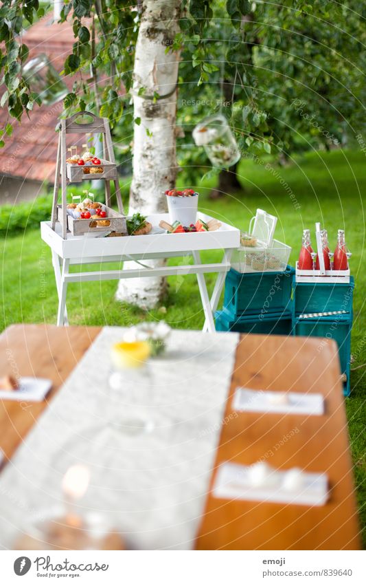 Picknick Ernährung Festessen Slowfood Fingerfood Garten natürlich Freizeit & Hobby Farbfoto Außenaufnahme Menschenleer Tag Schwache Tiefenschärfe