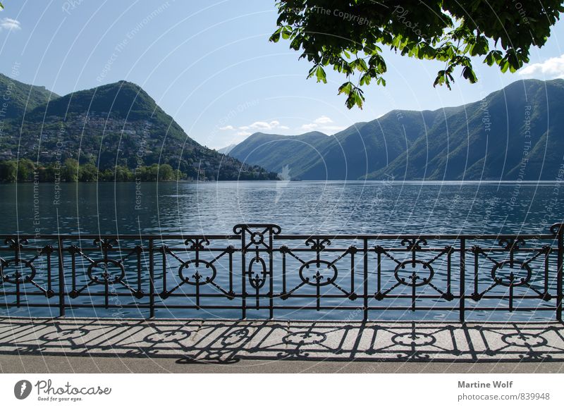Lago du Lugano Landschaft See Luganosee Lago di Lugano Kanton Tessin Schweiz Europa Idylle Ferien & Urlaub & Reisen ruhig Promenade Farbfoto Außenaufnahme