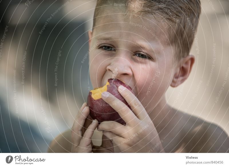 Vitamine ... Frucht Mensch maskulin Kind Junge Kindheit Gesicht 3-8 Jahre 8-13 Jahre Essen Gesundheit lecker saftig süß Pfirsich Porträt Blick nach vorn