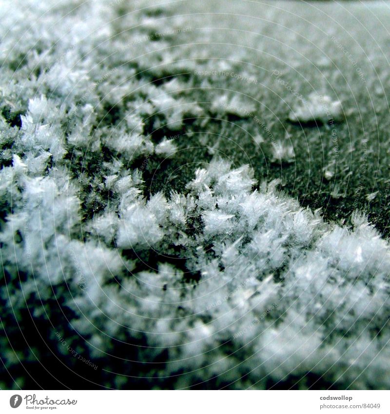 frost III Schnellzug abstrakt Eiskristall Winter Frost crystal abstract freezing Wetter freeze einfrierend Raureif Schnee
