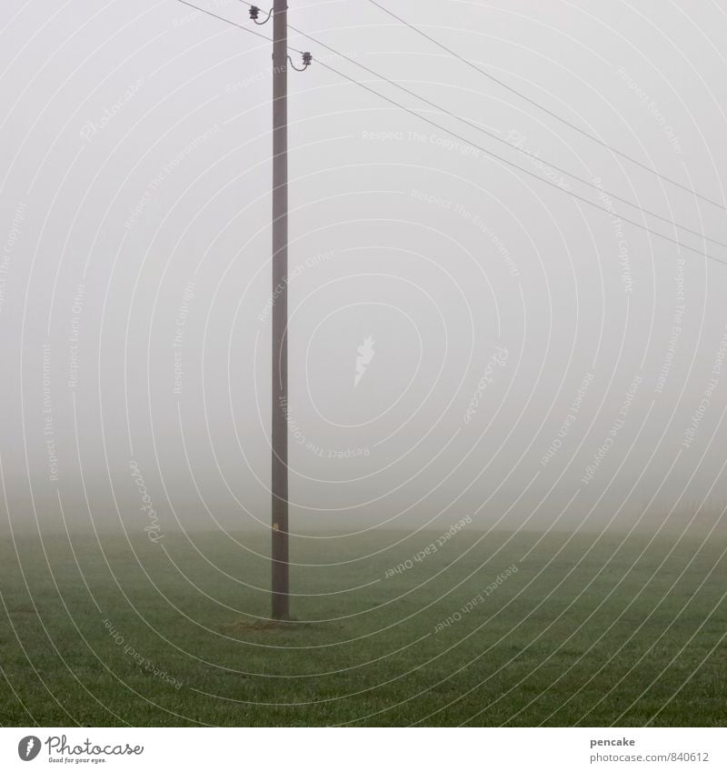 undurchsichtig Natur Landschaft Herbst Nebel Wiese Feld Vergänglichkeit Strommast feucht Sichtschutz Farbfoto Gedeckte Farben Außenaufnahme Detailaufnahme