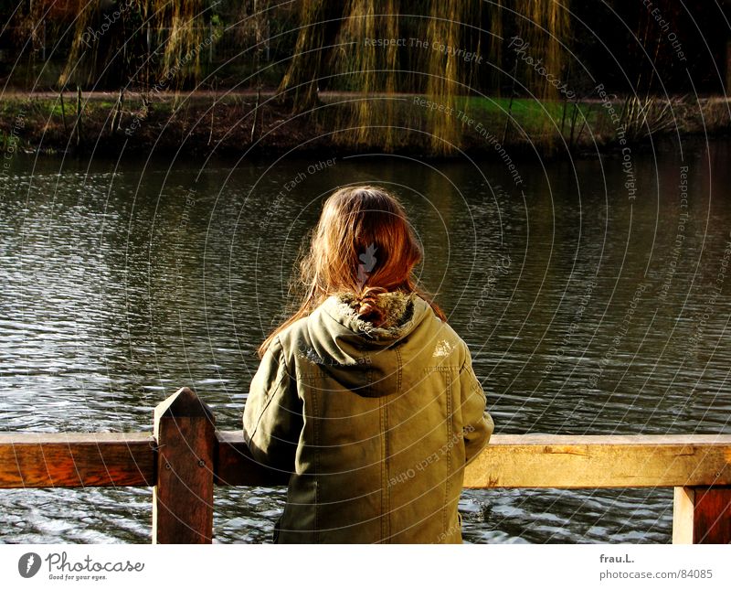 am See Wasser Teich Baum Zaun Einsamkeit warten Seeufer Weide beobachten ruhig Frieden Kind Mädchen Freizeit & Hobby parker böschung friedlich