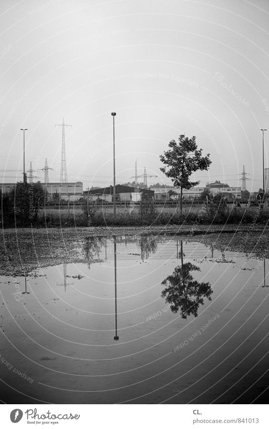 gewerbegebiet Industrie Umwelt Natur Landschaft Wasser Himmel Klima schlechtes Wetter Regen Baum Industrieanlage trist grau Pfütze Strommast Industriefotografie