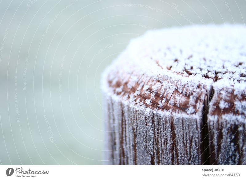Zuckerguss kalt Jahreszeiten Holz Holzpfahl ländlich Winter Eis rustikal Makroaufnahme Nahaufnahme Schnee frostgefühl kältegefühl