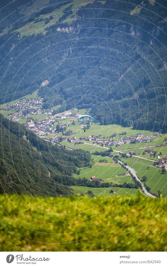 fliegen Umwelt Natur Landschaft Sommer Schönes Wetter Wiese Feld natürlich grün Schweiz Gleitschirmfliegen Farbfoto Außenaufnahme Menschenleer Tag Totale
