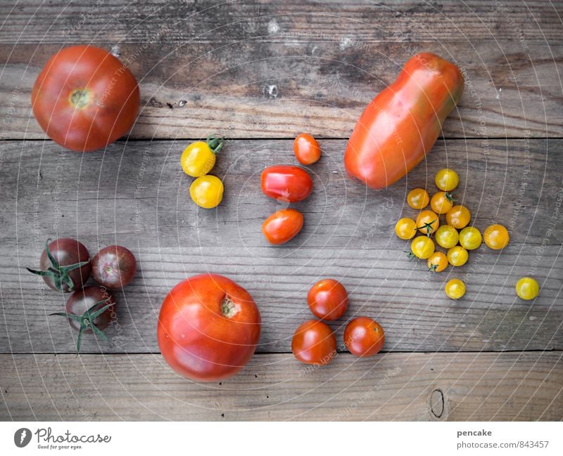 kulturelle vielfalt Gemüse Frucht Ernährung Bioprodukte Vegetarische Ernährung Italienische Küche Natur Sommer Herbst Nutzpflanze authentisch einfach