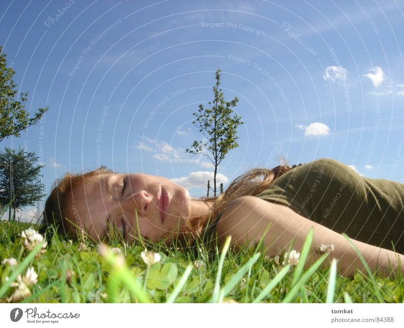 Tina im Bild Glück schön Gesundheit Zufriedenheit Erholung ruhig Sommer Sonnenenergie Natur Himmel Blume Gras Blüte Wiese liegen grün woman ökologisch Pollen
