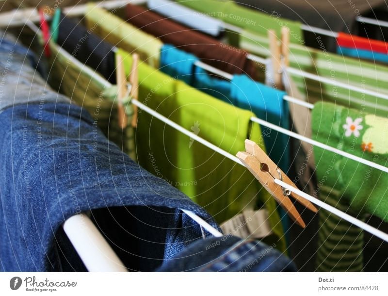 Leinenzwang Häusliches Leben Bekleidung T-Shirt Jeanshose Pullover Strumpfhose Stoff Sauberkeit trocken blau mehrfarbig grün Farbe Wäscheleine Waschtag