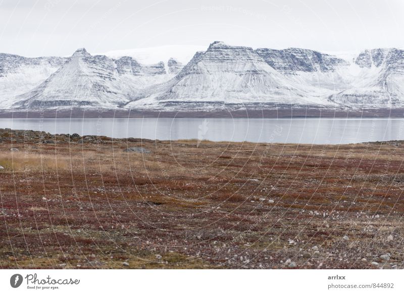 Arktische Landschaft in Grönland Freiheit Expedition Sommer Meer Insel Schnee Berge u. Gebirge Umwelt Natur Herbst Diskobucht Coolness schön natürlich weiß rein