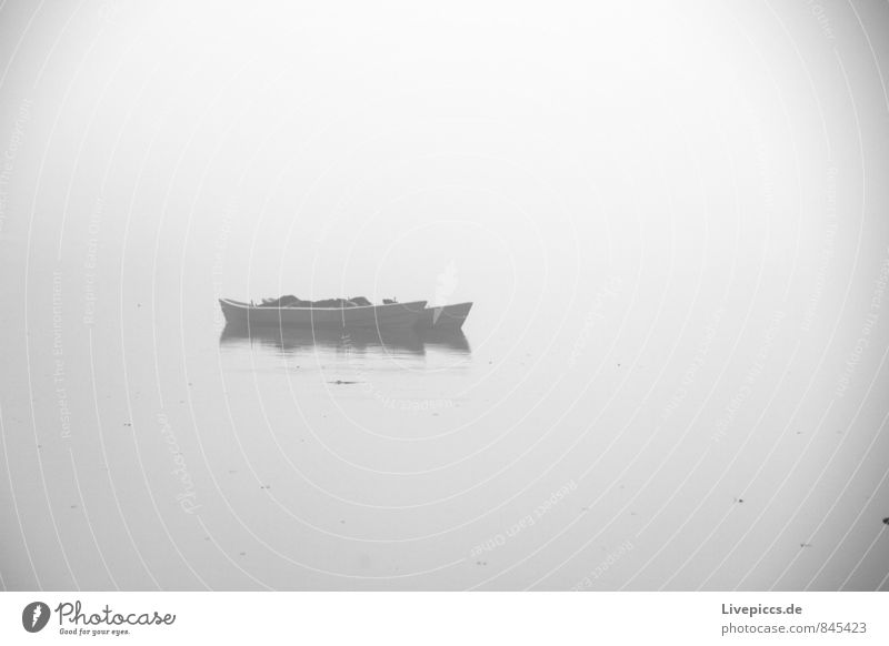 Hafen am Sumpfsee Angeln Ferien & Urlaub & Reisen Umwelt Natur Wasser Wolken Herbst Nebel Seeufer Fischerboot liegen kalt nass grau schwarz weiß Gelassenheit