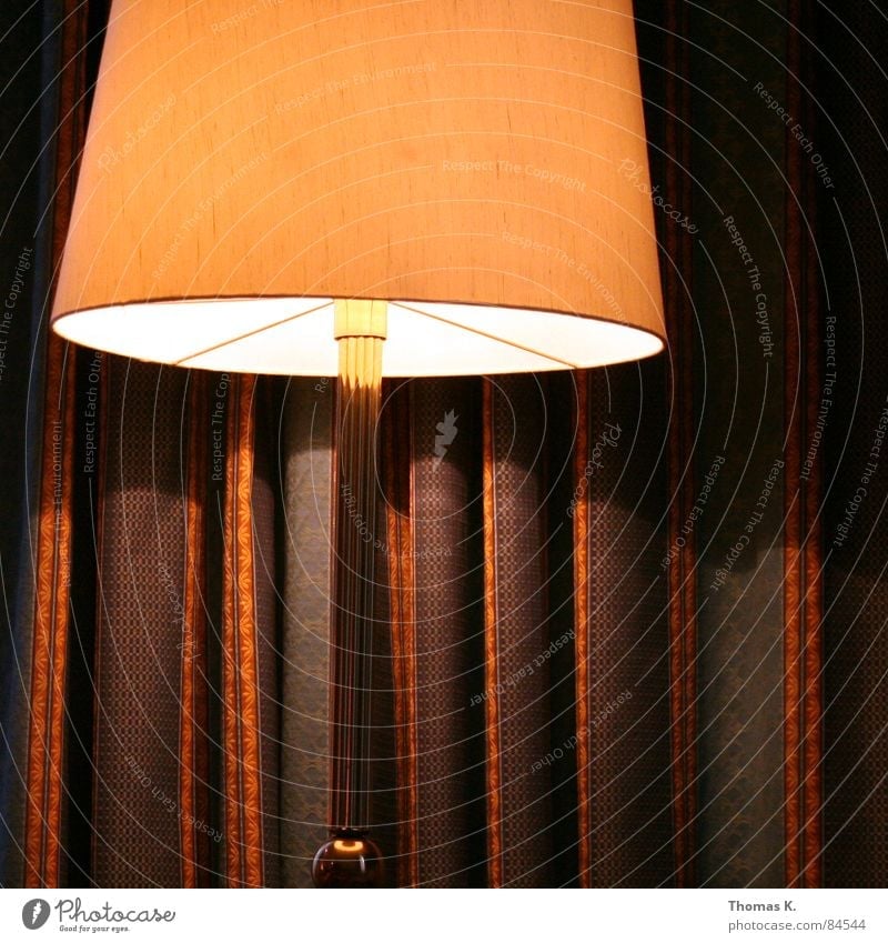 Ein Stummer Zeuge. Licht Stehlampe Vorhang Gardine Muster Glühbirne Langeweile nachtischschlampe Nachttischlampe Lichterscheinung Lichtschein lichtmaschine
