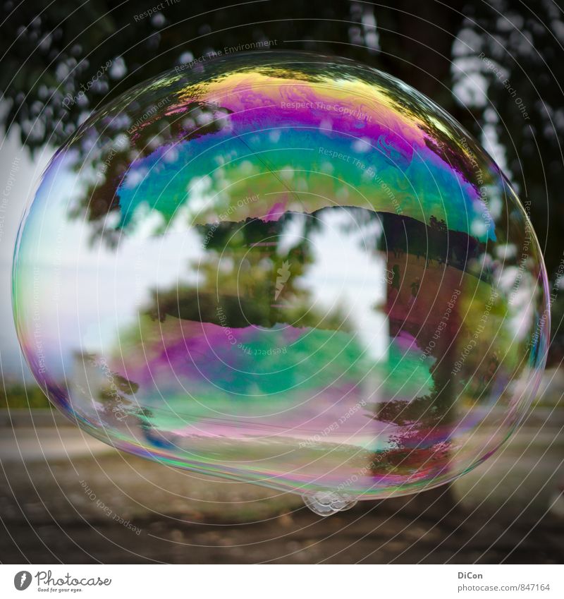 Große Träume Seifenblase Spielen träumen Fröhlichkeit Farbfoto Außenaufnahme Tag Reflexion & Spiegelung Zentralperspektive