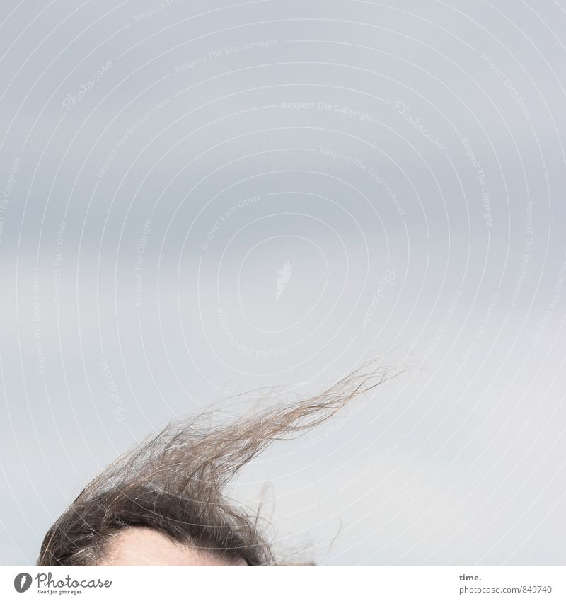 fliegen | lassen Kopf Haare & Frisuren Himmel Schönes Wetter brünett ästhetisch chaotisch Design Fortschritt Kreativität Leidenschaft Misserfolg Natur skurril