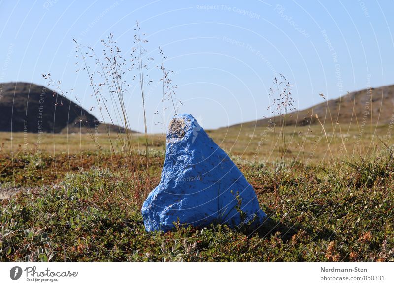 Stein, blau wandern Wolkenloser Himmel Gras Hügel Tundra Schilder & Markierungen Einsamkeit Farbfoto Außenaufnahme Menschenleer Schwache Tiefenschärfe