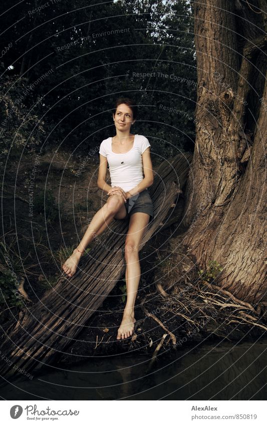 junge, schlanke, langbeinige Frau sitzt auf einem Baumstamm am Ufer eines Sees Ausflug Junge Frau Jugendliche Beine Fuß Barfuß 18-30 Jahre Erwachsene Wasser