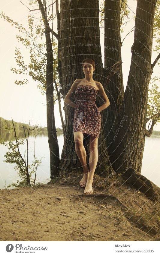 groß Ausflug Abenteuer Junge Frau Jugendliche Körper Beine Barfuß 18-30 Jahre Erwachsene Natur Sommer Baum Seeufer Sommerkleid brünett kurzhaarig stehen