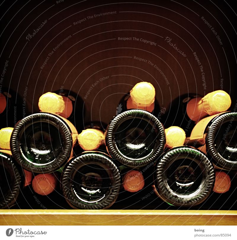 ein Anlass findet sich immer Hausmarke Weinkeller Sekt Prosecco Regal Stapel Flasche Glasbehälter Champagner Alkohol Feste & Feiern fest Weinregal Restaurant