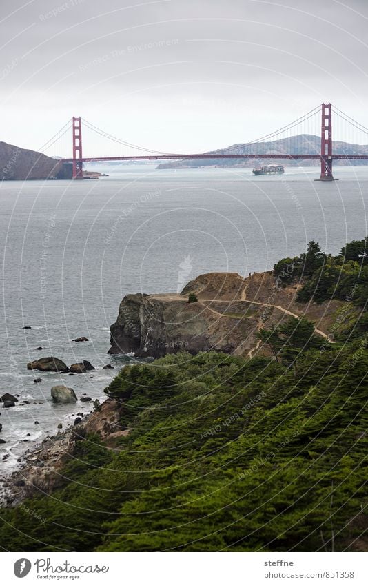 Die Brücke ist noch nie gerade gewesen Baum Felsen Meer San Francisco USA Kalifornien Sehenswürdigkeit Wahrzeichen Golden Gate Bridge Tourismus Farbfoto