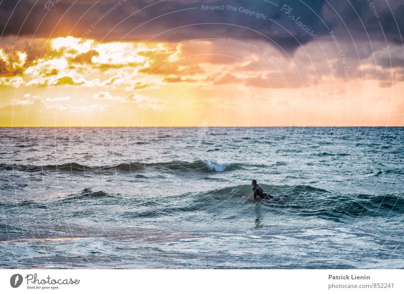 Surfers Paradise Lifestyle Stil harmonisch Wohlgefühl Freizeit & Hobby Ferien & Urlaub & Reisen Abenteuer Sport Wassersport Sportler Umwelt Natur Landschaft