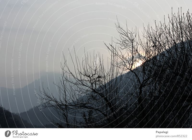 Morgenstimmung Natur Sonnenaufgang Sonnenuntergang Frühling Schönes Wetter Nebel Baum Alpen Berge u. Gebirge Ferne Unendlichkeit Stimmung Lebensfreude