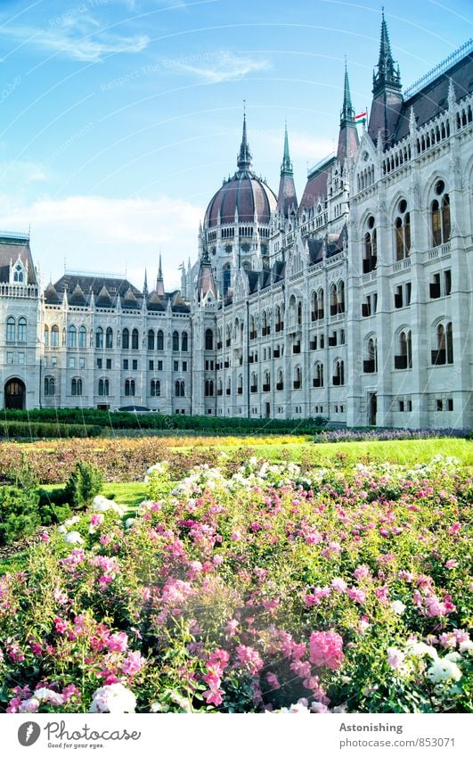 Parlament in Budapest Natur Landschaft Pflanze Himmel Wolken Sommer Wetter Schönes Wetter Blume Gras Ungarn Stadt Hauptstadt Park Platz Bauwerk Gebäude